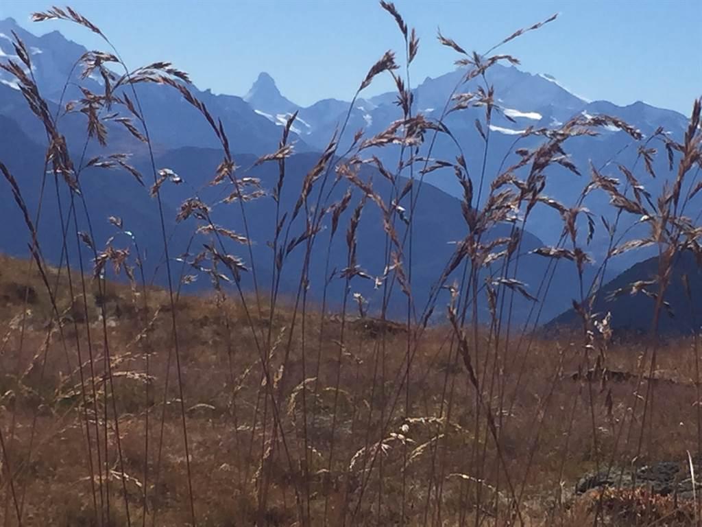 Unterwegs auf den vielen Wanderwegen Unterwegs auf den vielen Wanderwegen