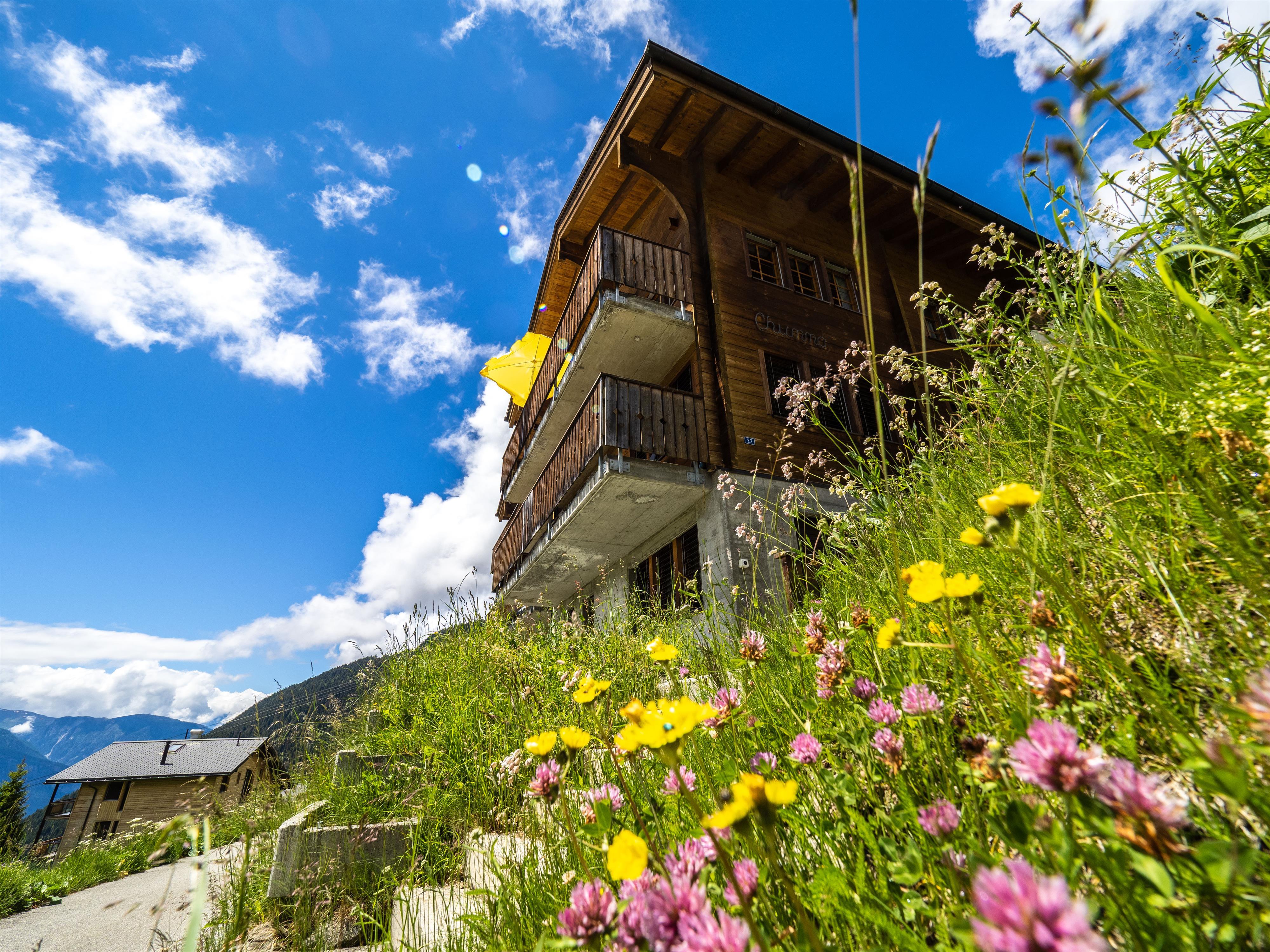 Flower-Power Flower-Power