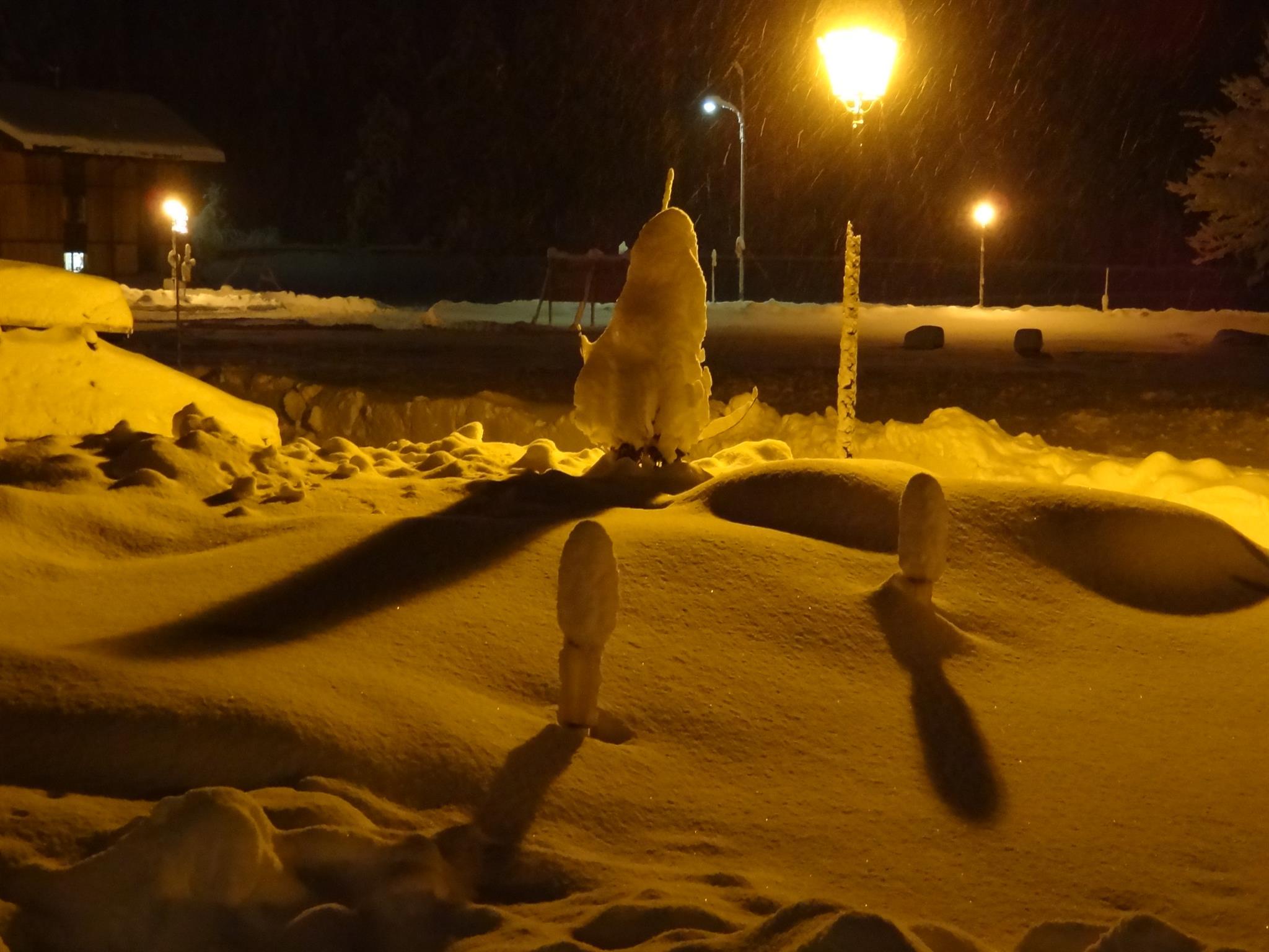 Garten im Winter Garten im Winter