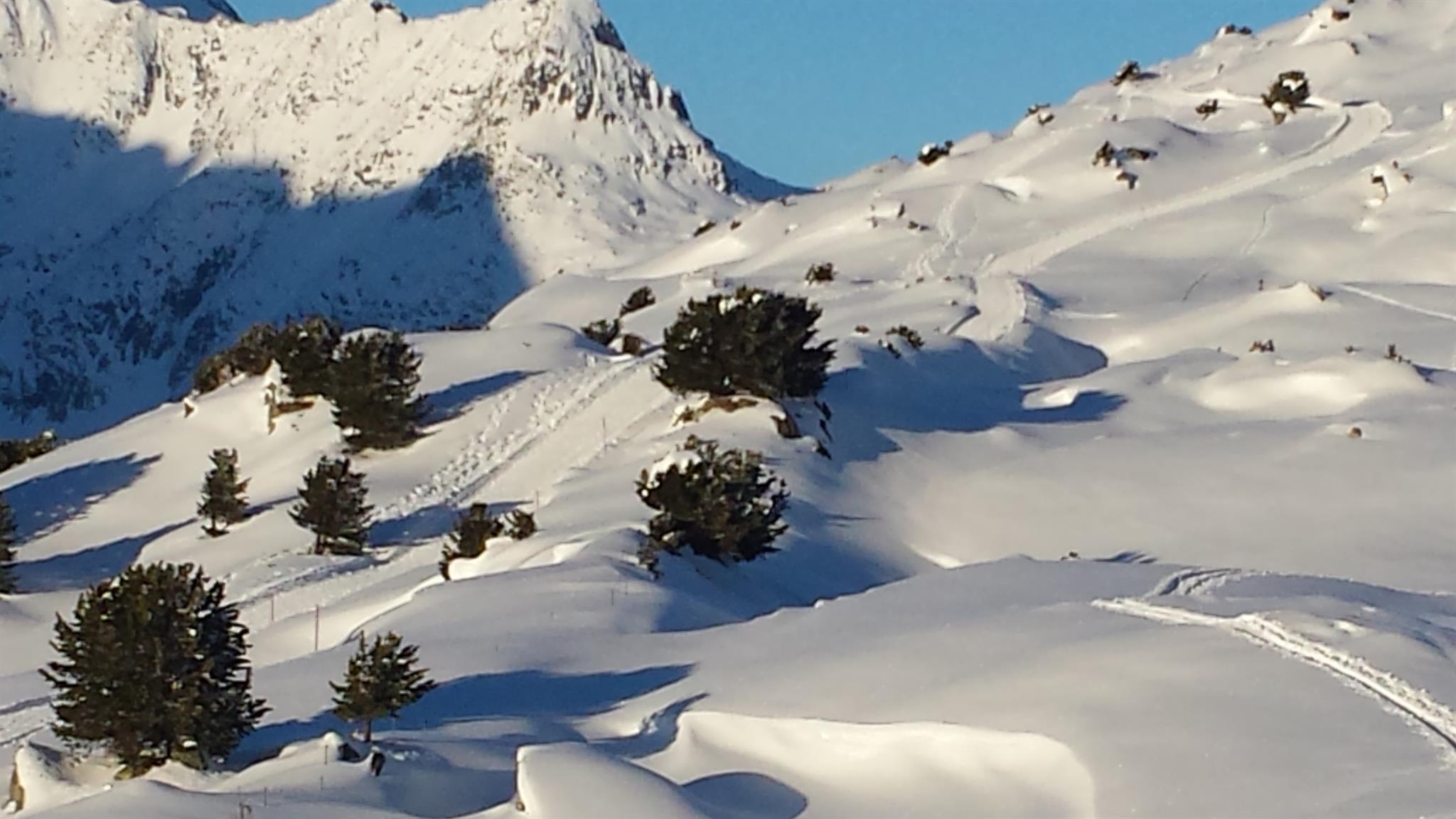 Winterwanderung Hohfluh/Moossfluh Winterwanderung Hohfluh/Moossfluh