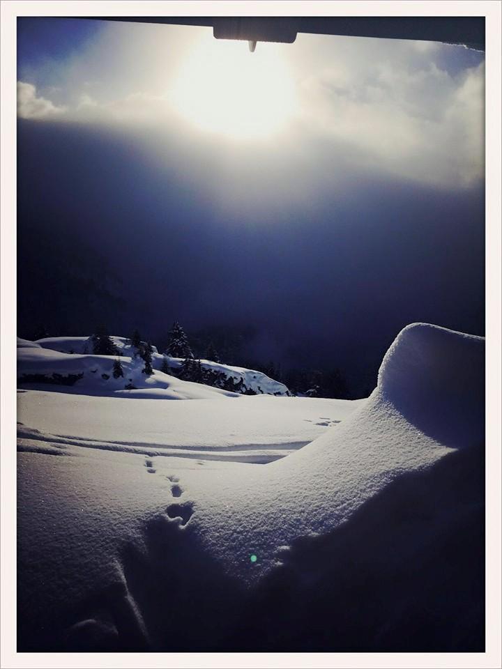 Bel-Alp-Ruh Postkarte Bel-Alp-Ruh Postkarte