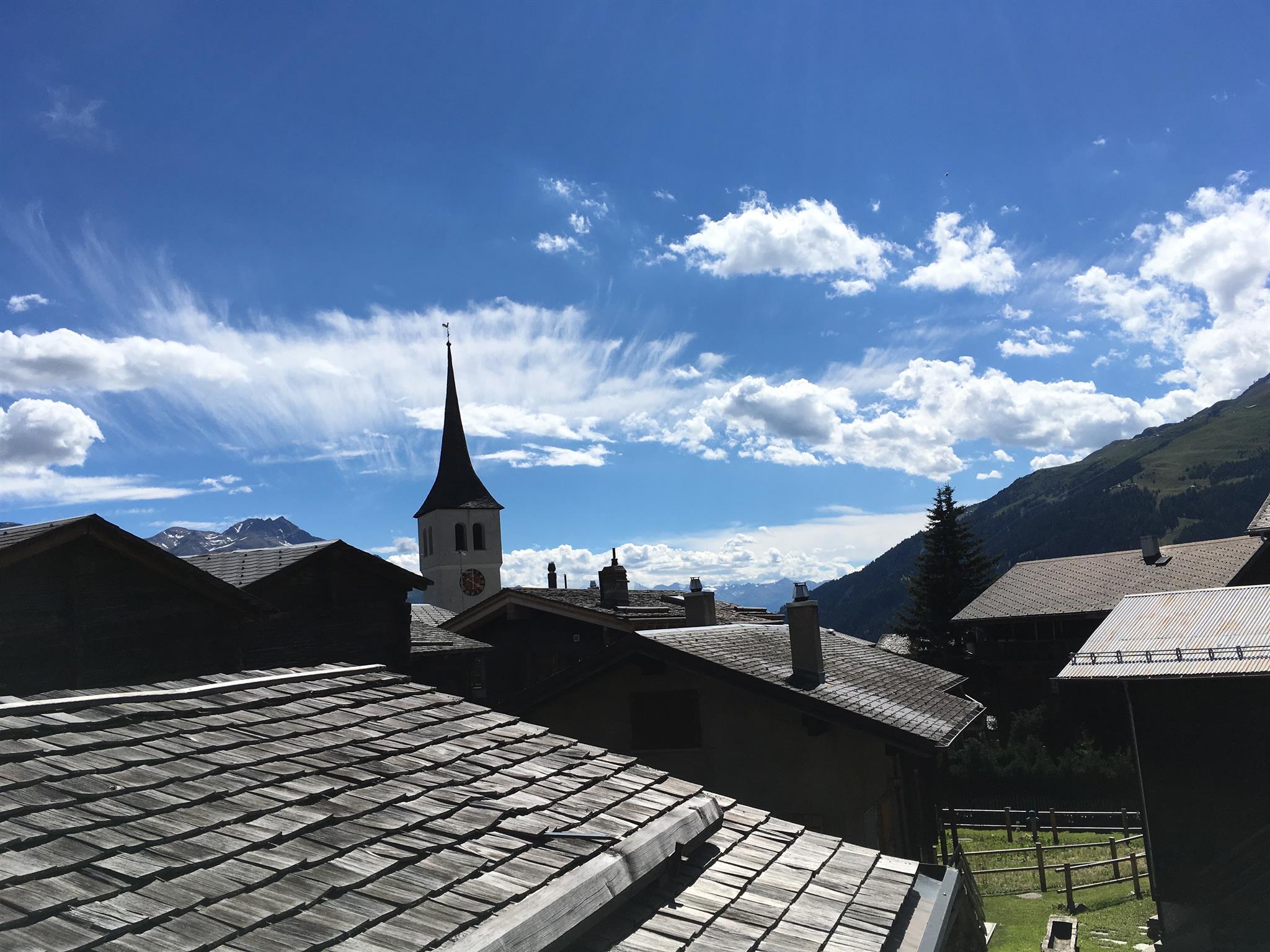 IMG_2309 (1) IMG_2309 (1)