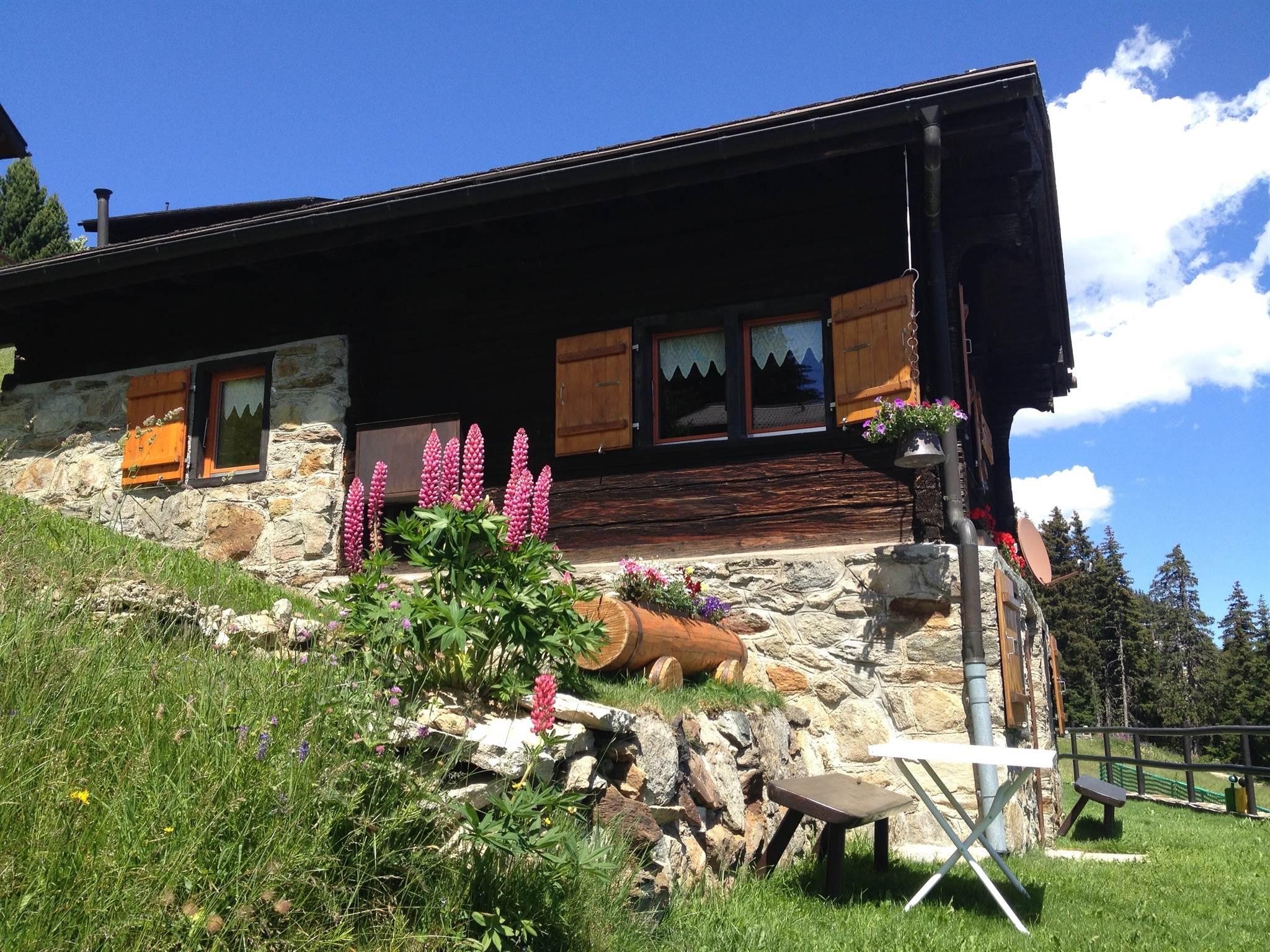 Aussenansicht Sommer Aussenansicht Sommer