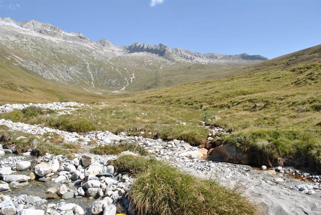 Die Belalp im Sommer Die Belalp im Sommer