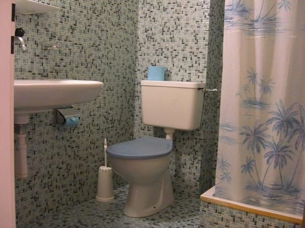 alle-Whg_dusche-WC alle-Whg_dusche-WC