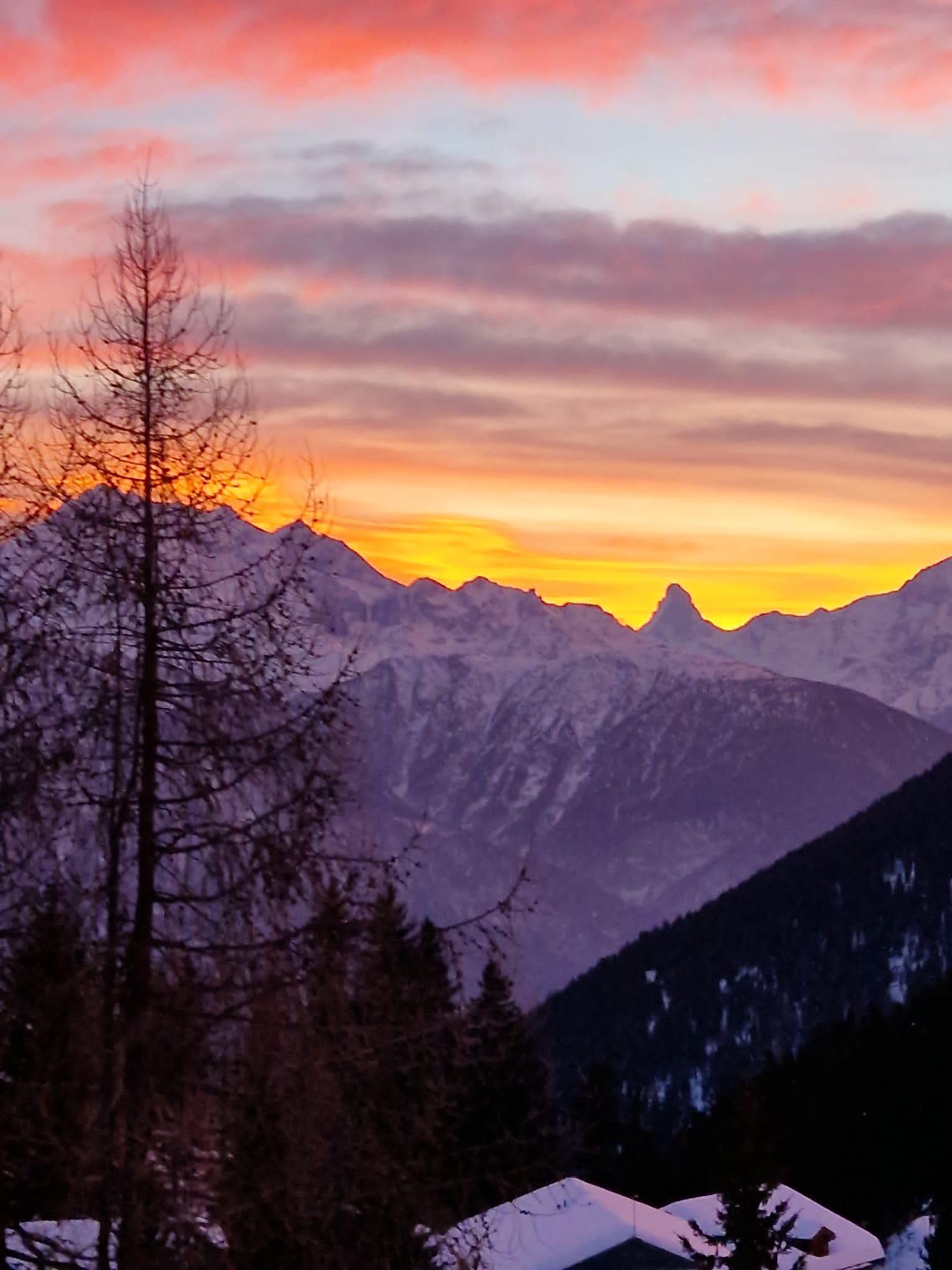 WhatsApp Bild 2023-02-04 um 10.39.19 WhatsApp Bild 2023-02-04 um 10.39.19