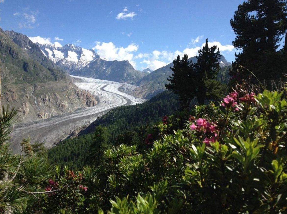 IMG-20231109-WA0007 IMG-20231109-WA0007