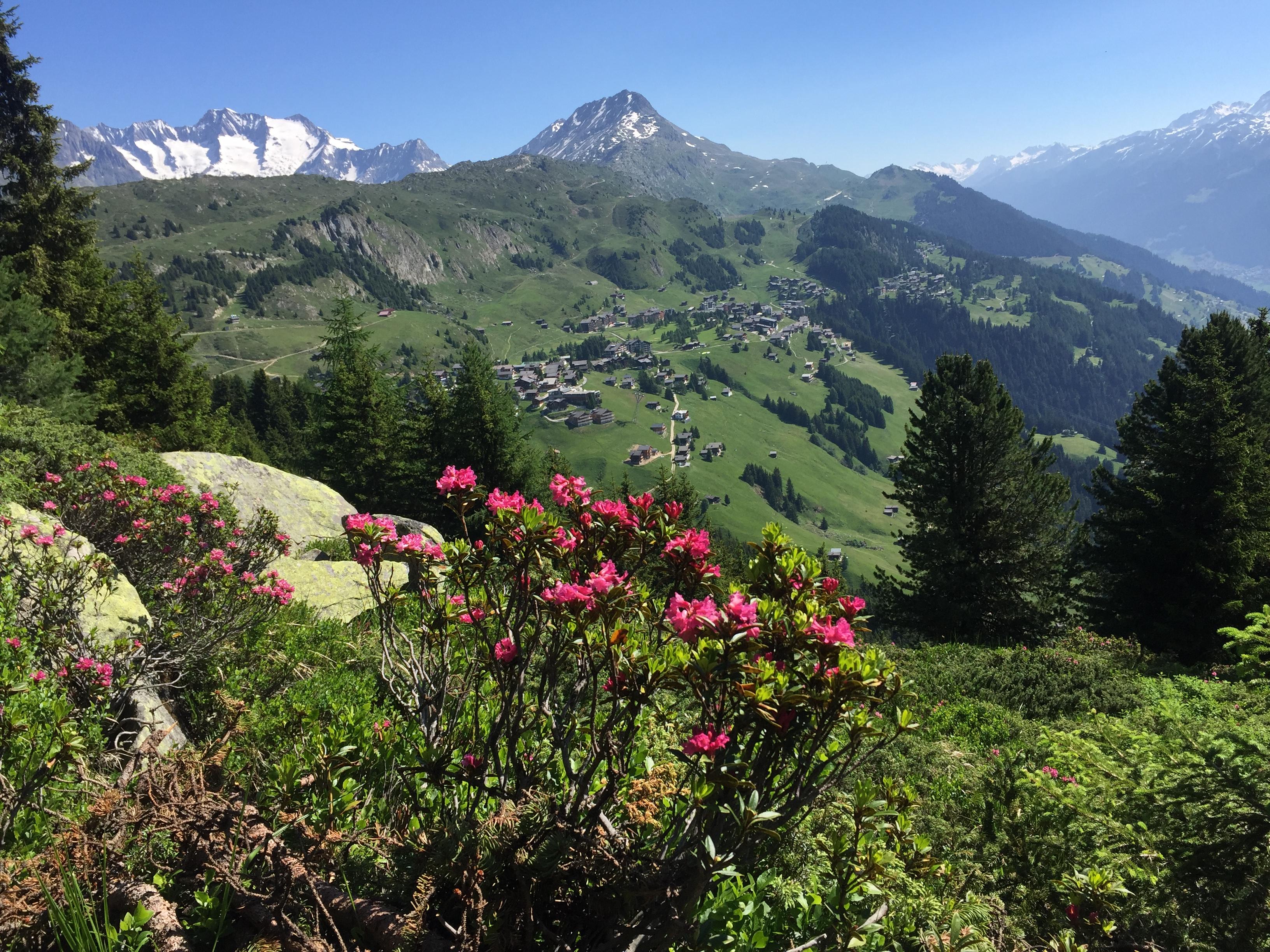 ums Riederhorn ums Riederhorn