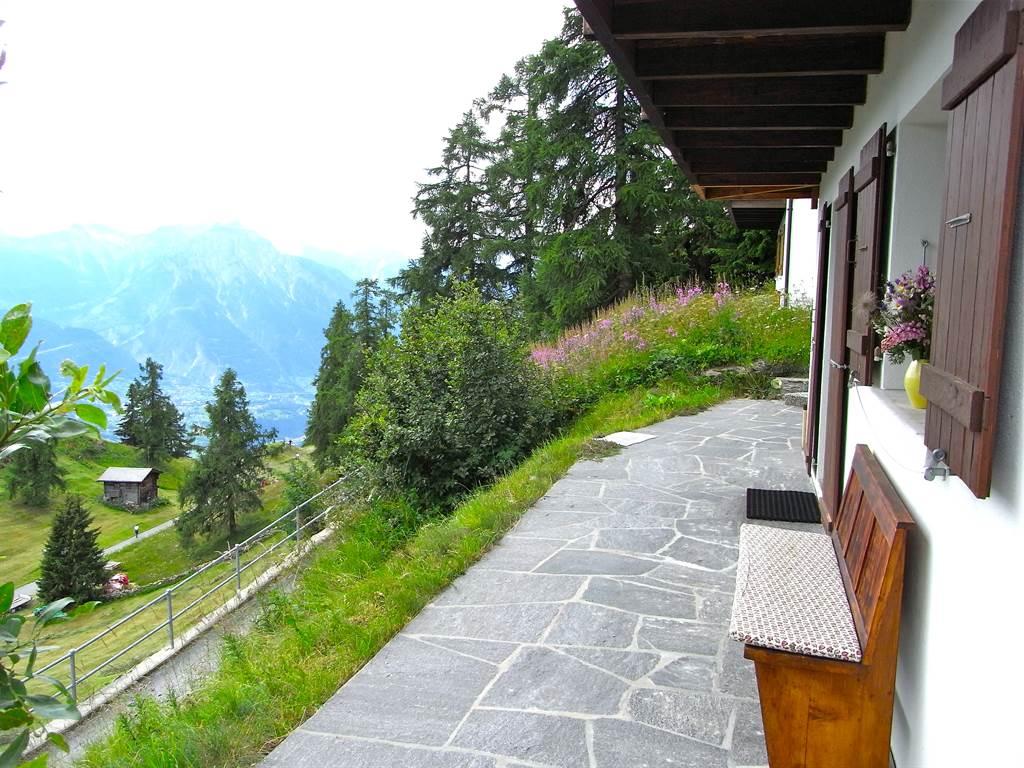 chalet terrasse 5 chalet terrasse 5