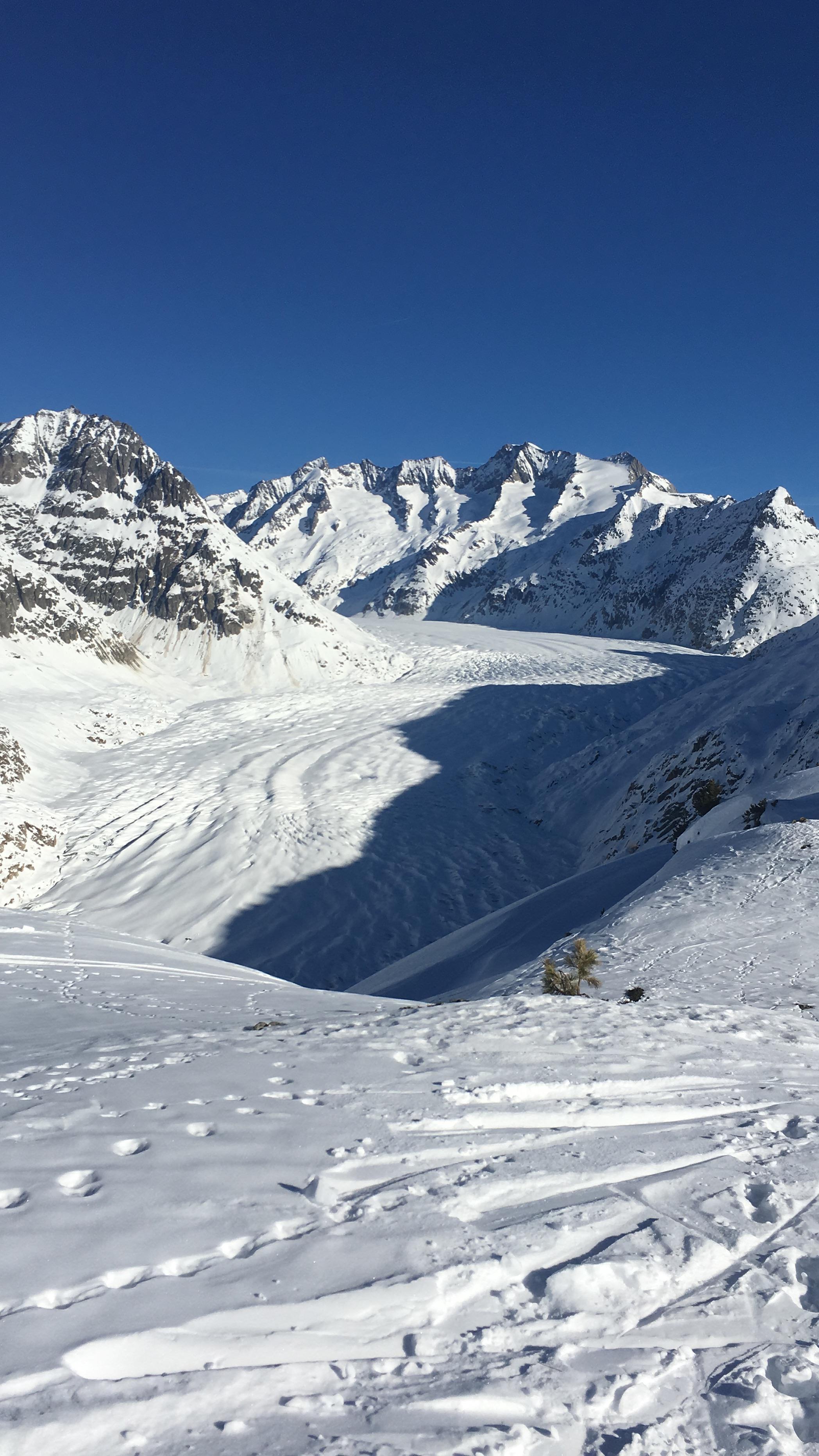 Aletschgletscher Aletschgletscher