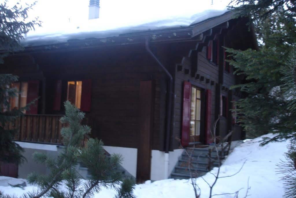 Outside Winter Back 2 Outside Winter Back 2