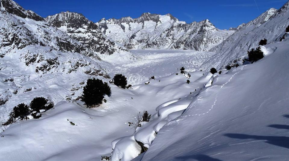 grosser Aletschgletscher grosser Aletschgletscher