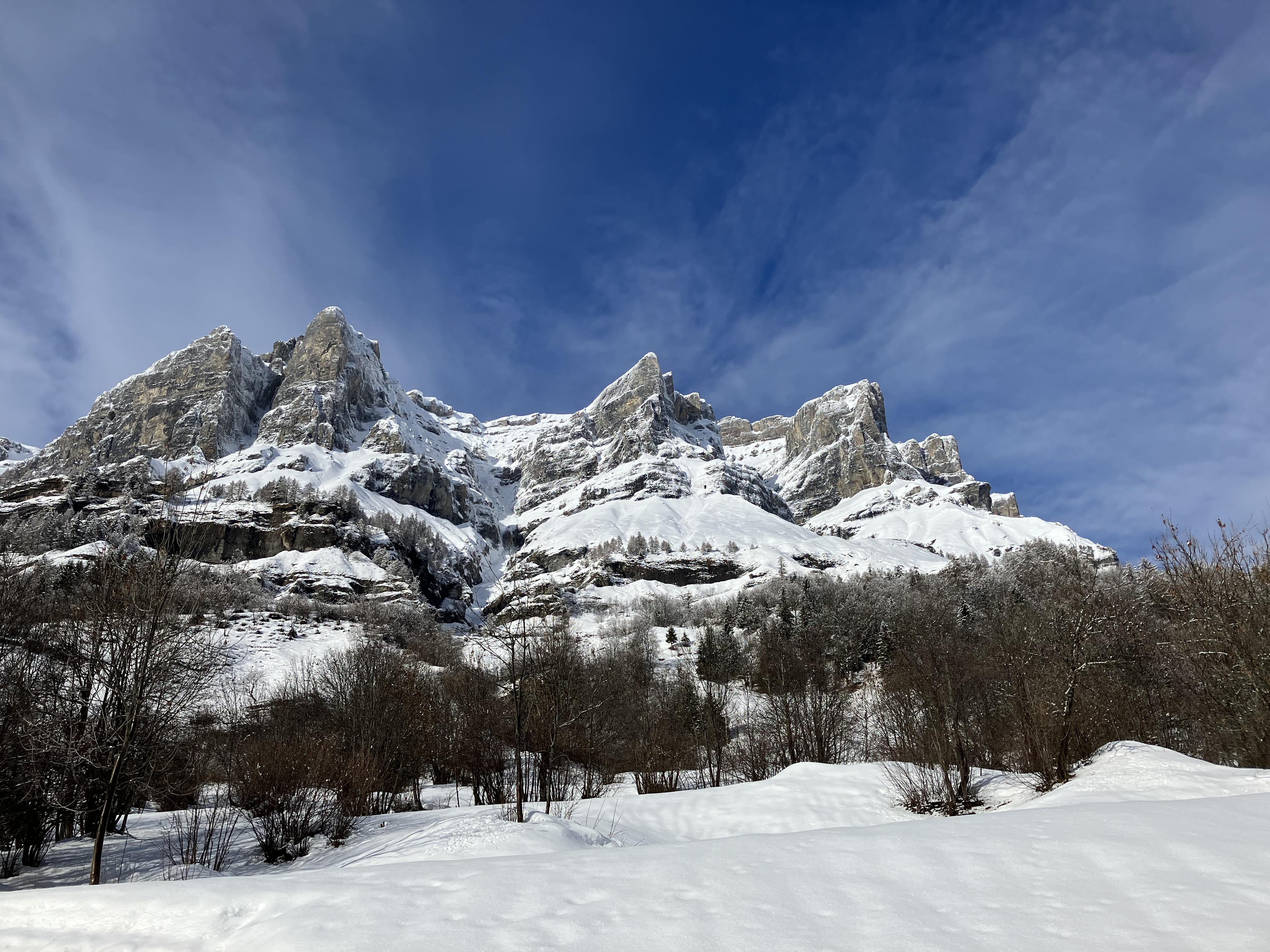Lärchenwald 312_aussicht_winter_c Lärchenwald 312_aussicht_winter_c