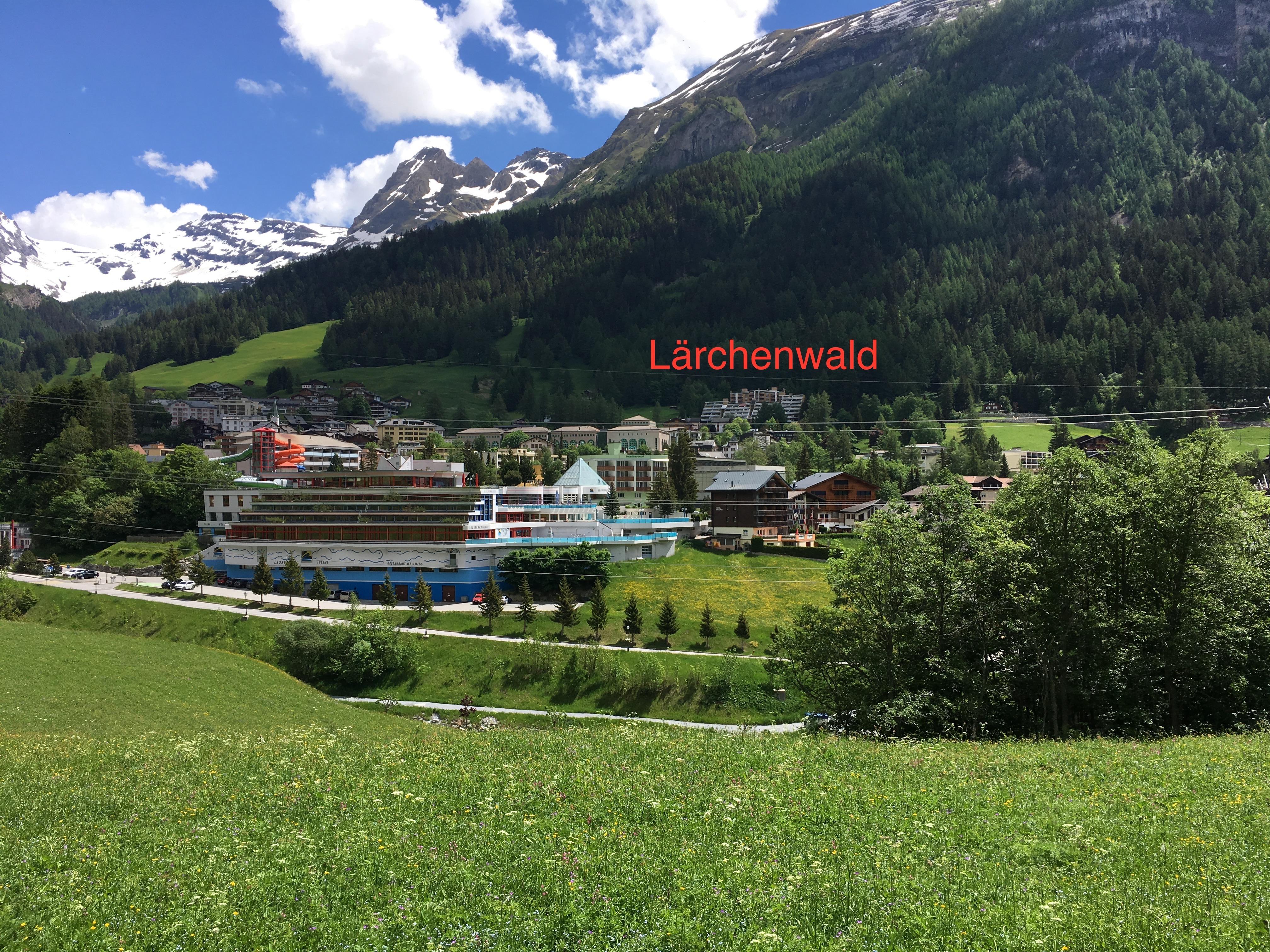 Lärchenwald_distanz Lärchenwald_distanz