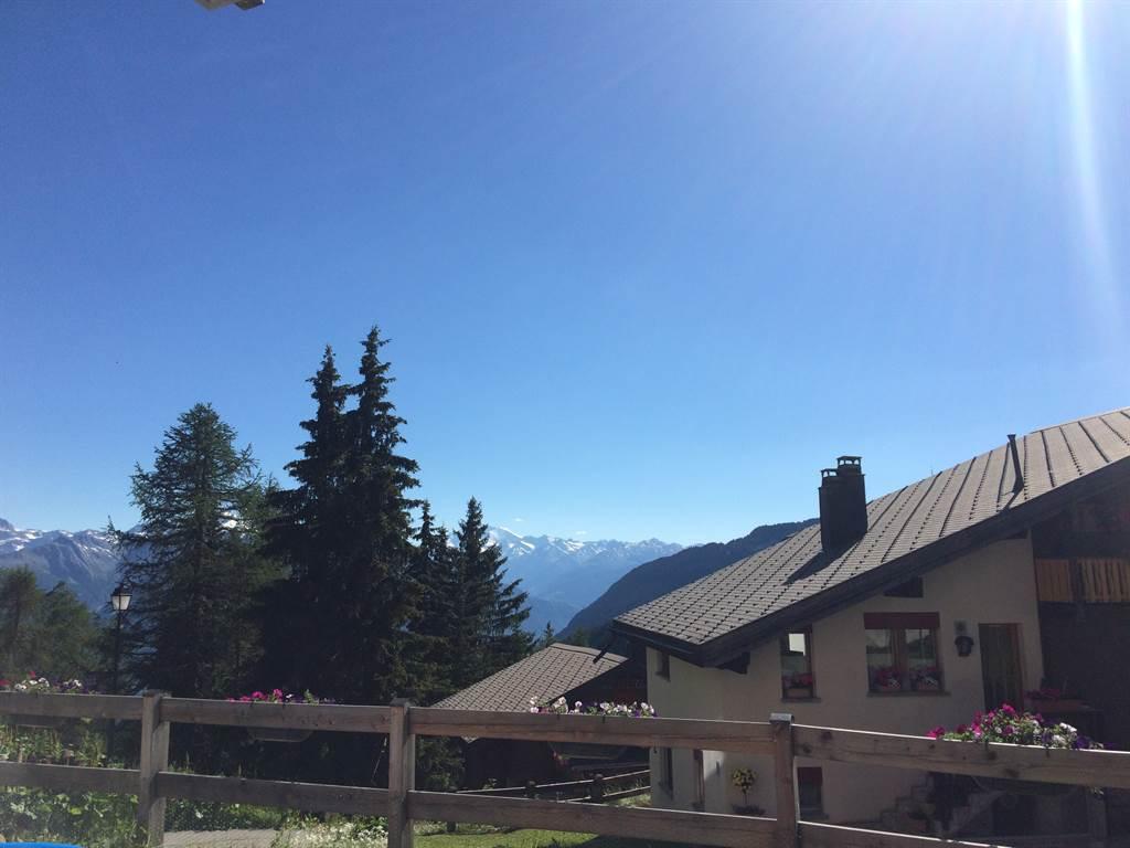 Aussicht EG Sommer Aussicht EG Sommer