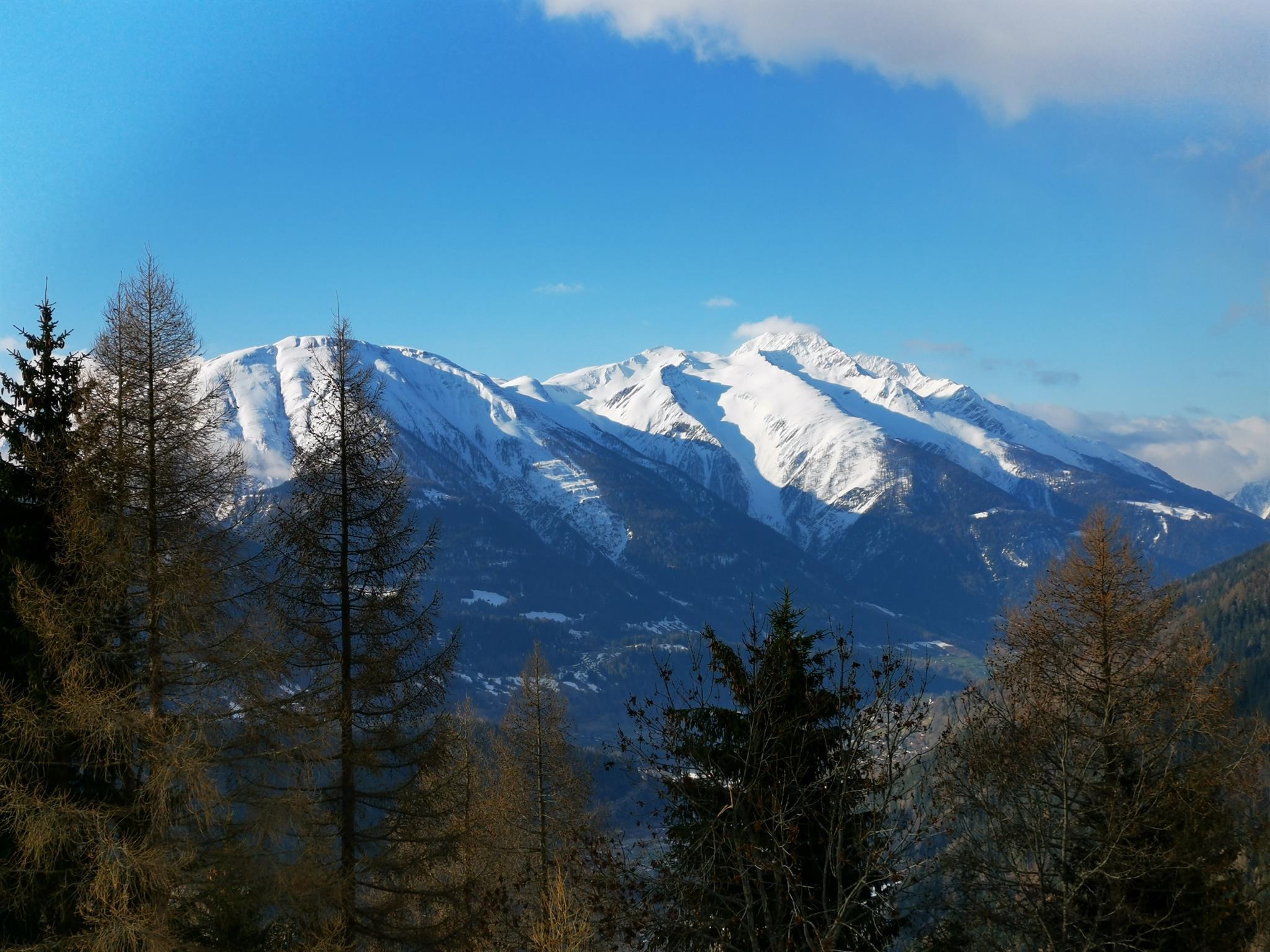 IMG_20210413_085254_resized_20210822_113308857 IMG_20210413_085254_resized_20210822_113308857