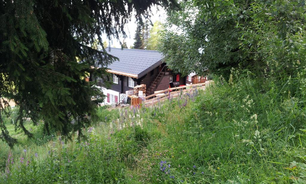 Alpenchalet-Bergrösli 5 Alpenchalet-Bergrösli 5