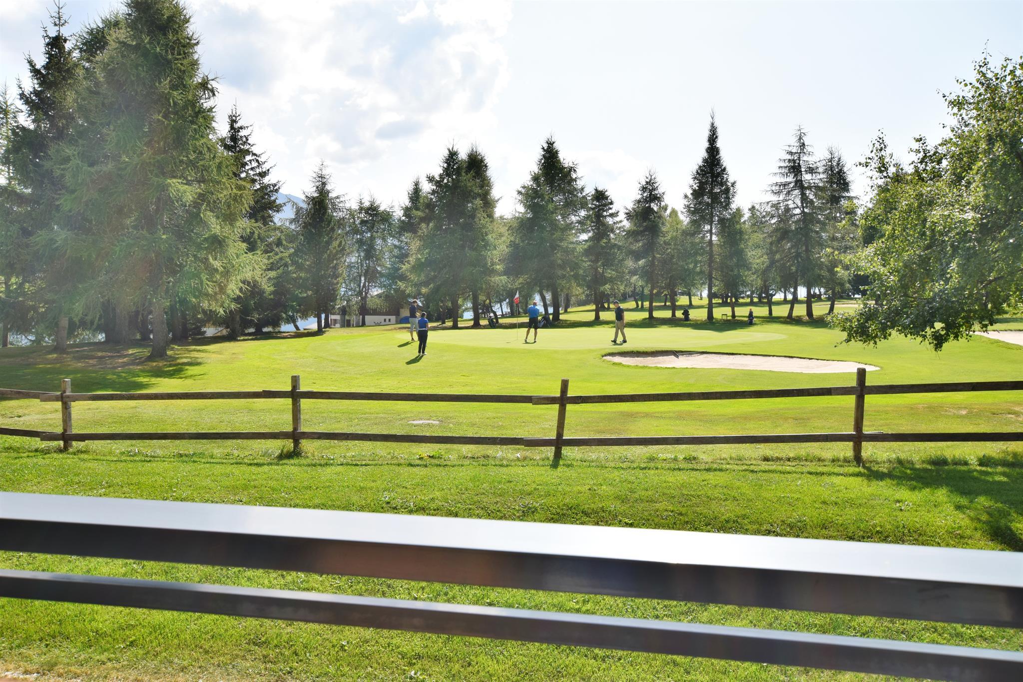 RoyalB26_14 RoyalB26_14