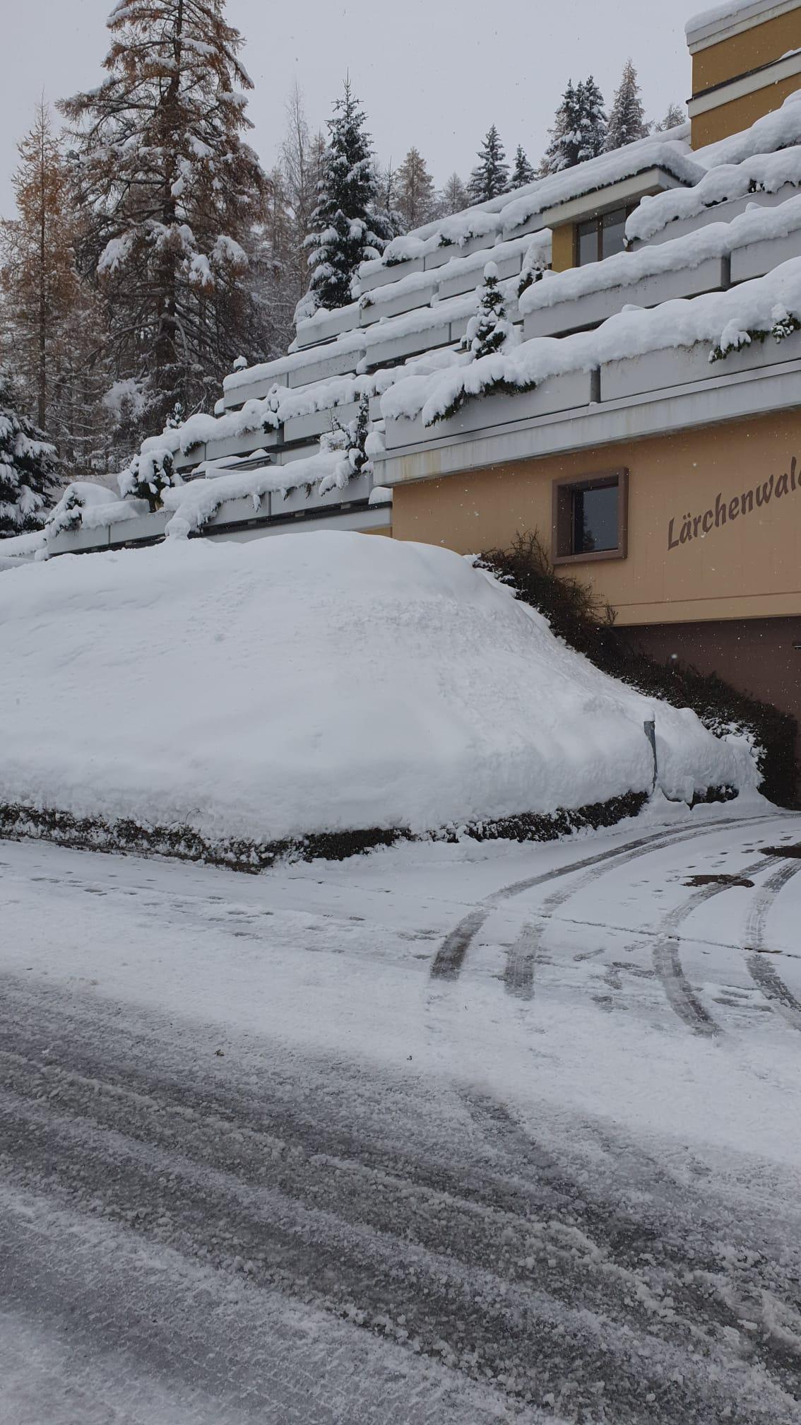 Lärchenwald 1708_zufahrt Lärchenwald 1708_zufahrt