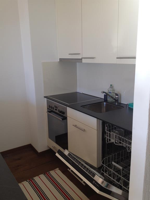 neue moderne Küche mit Geschirrspüler neue moderne Küche mit Geschirrspüler