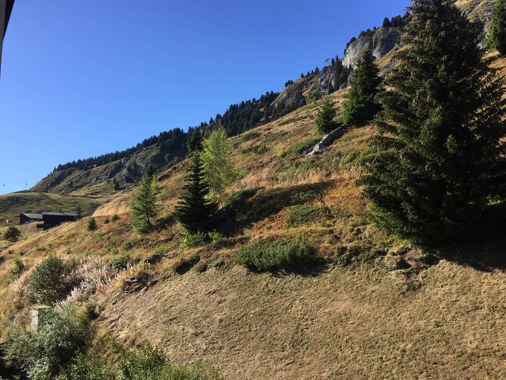 Aussicht vom Schlafzimmer, Richtung Hohfluh-Sessel Aussicht vom Schlafzimmer, Richtung Hohfluh-Sessel