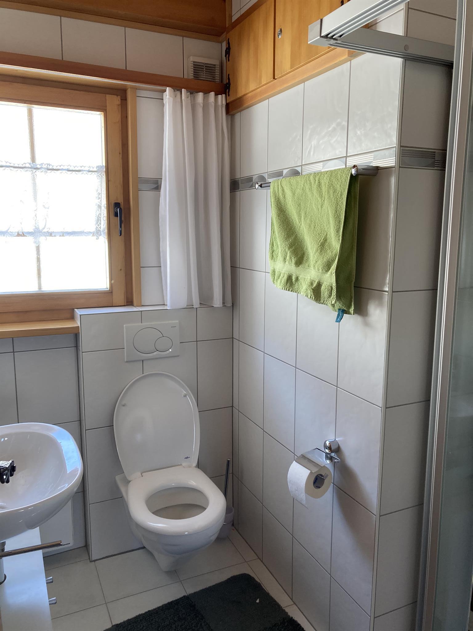 Badezimmer/ WC unten Badezimmer/ WC unten