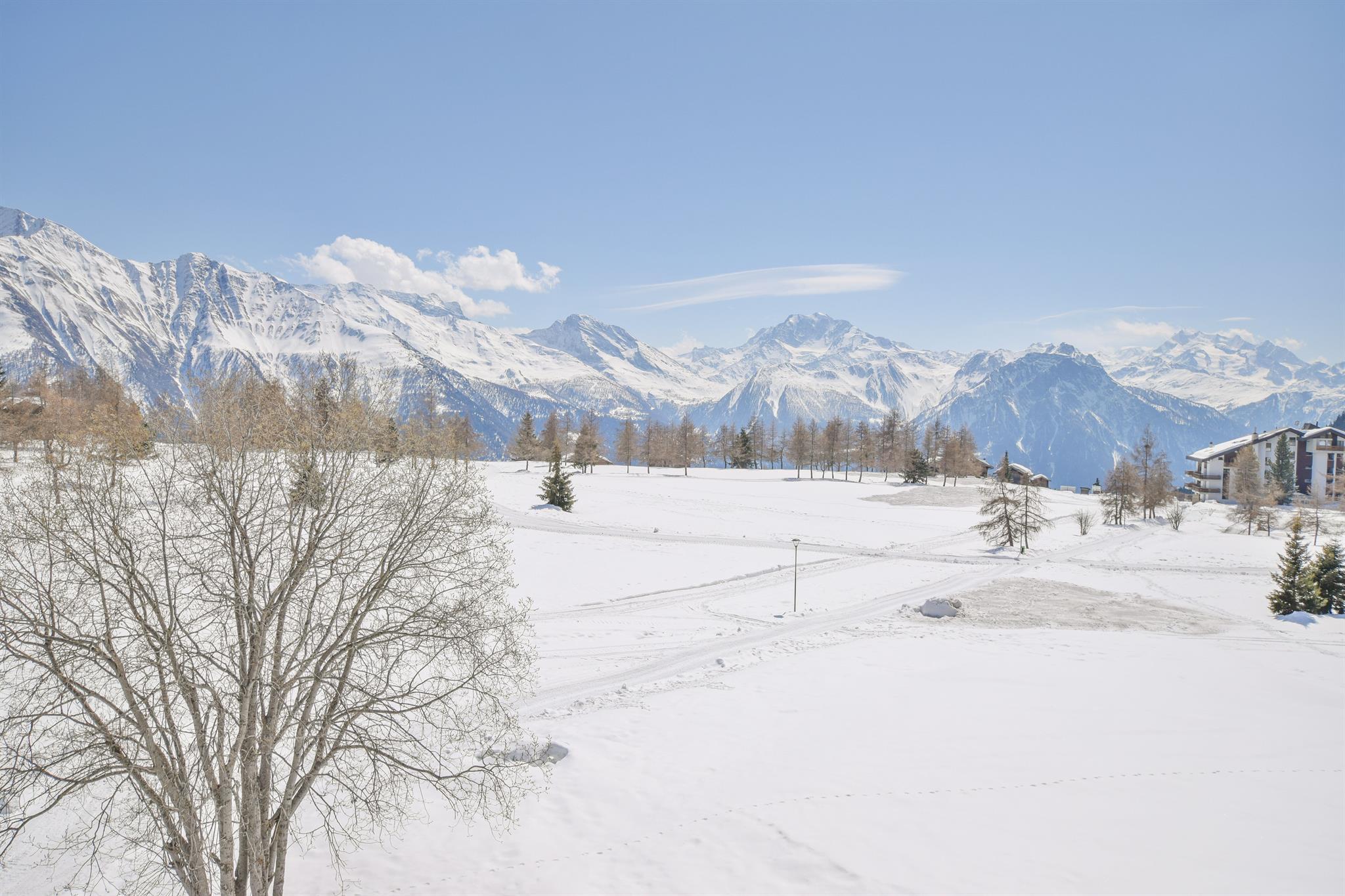 DSC_1053-min DSC_1053-min