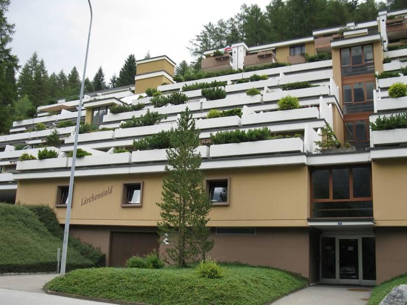 Lärchenwald_front Lärchenwald_front