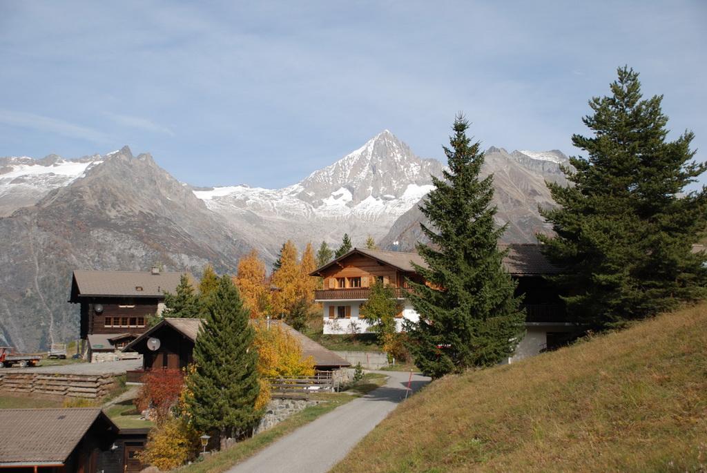 Gredetsch Herbst 2 Gredetsch Herbst 2