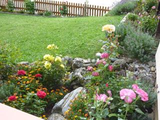 Panorama_garten Panorama_garten