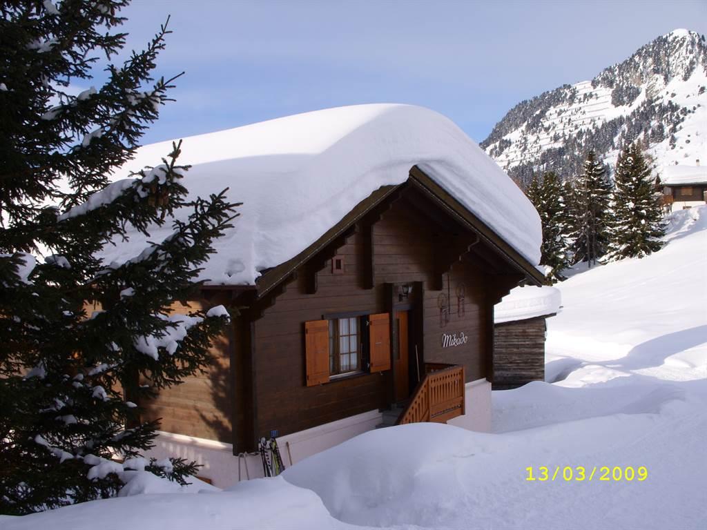 Mikado tief verschneit Mikado tief verschneit