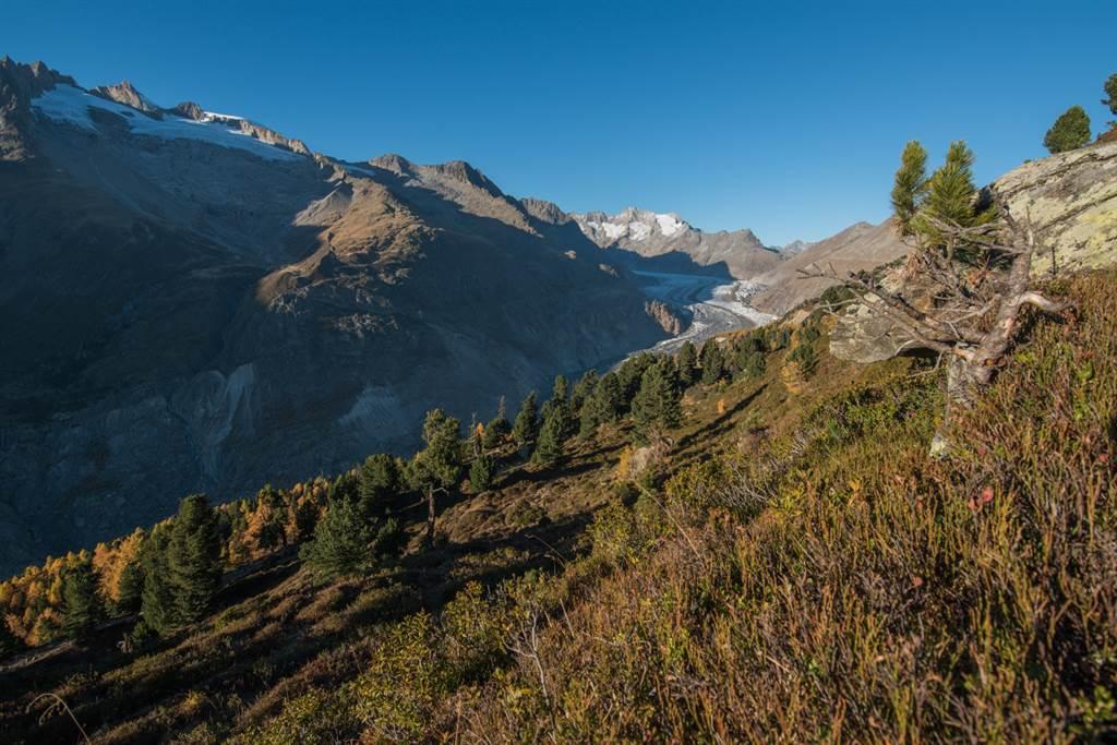 Herbst_Gletscher Herbst_Gletscher