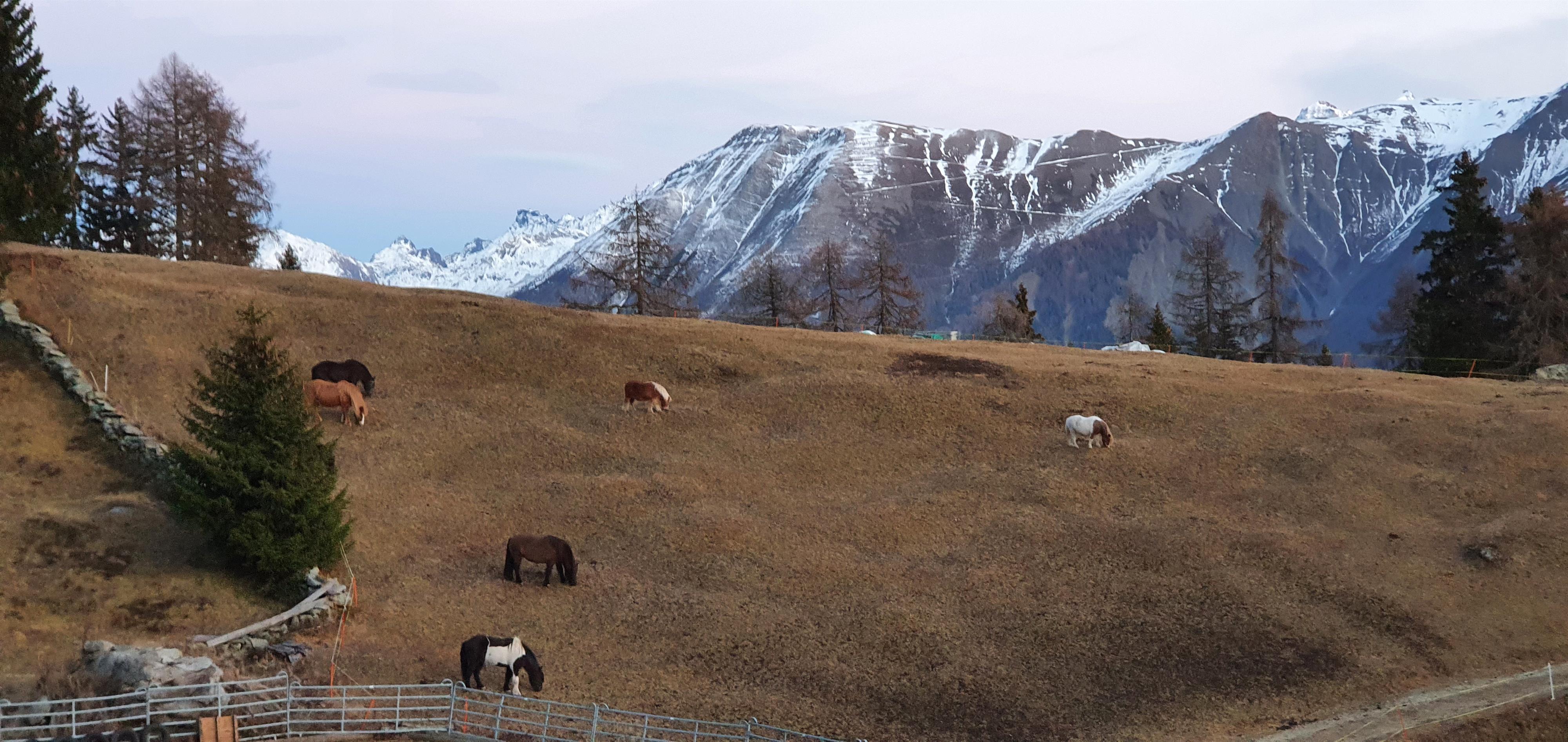 20201125_170057 20201125_170057