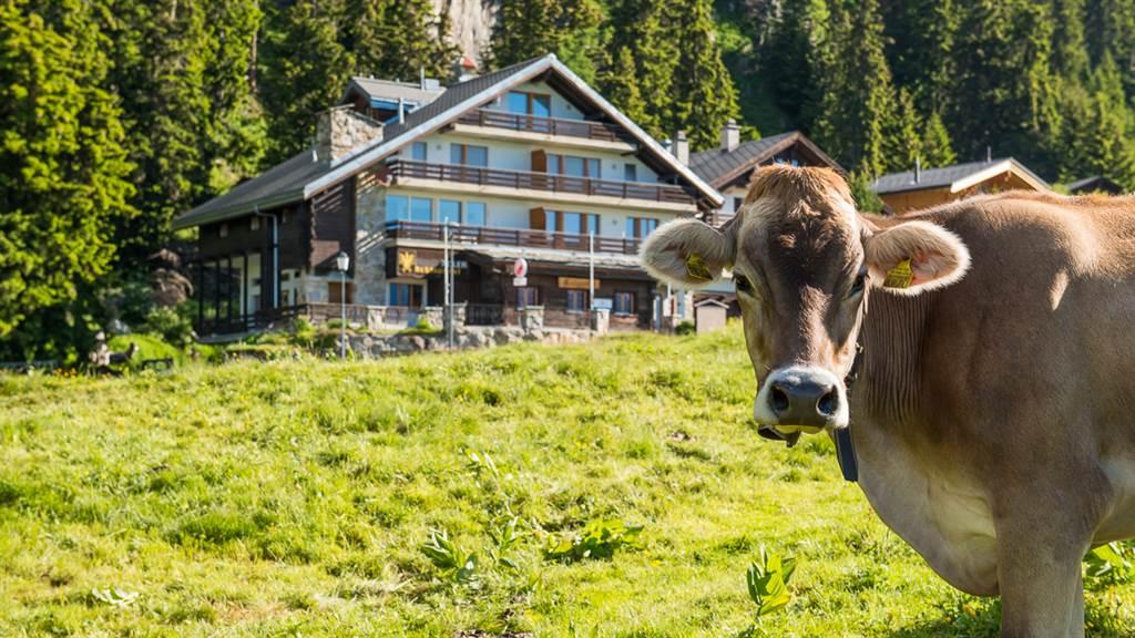 DSC_5612_fotoweb15_riederalp-fewo DSC_5612_fotoweb15_riederalp-fewo