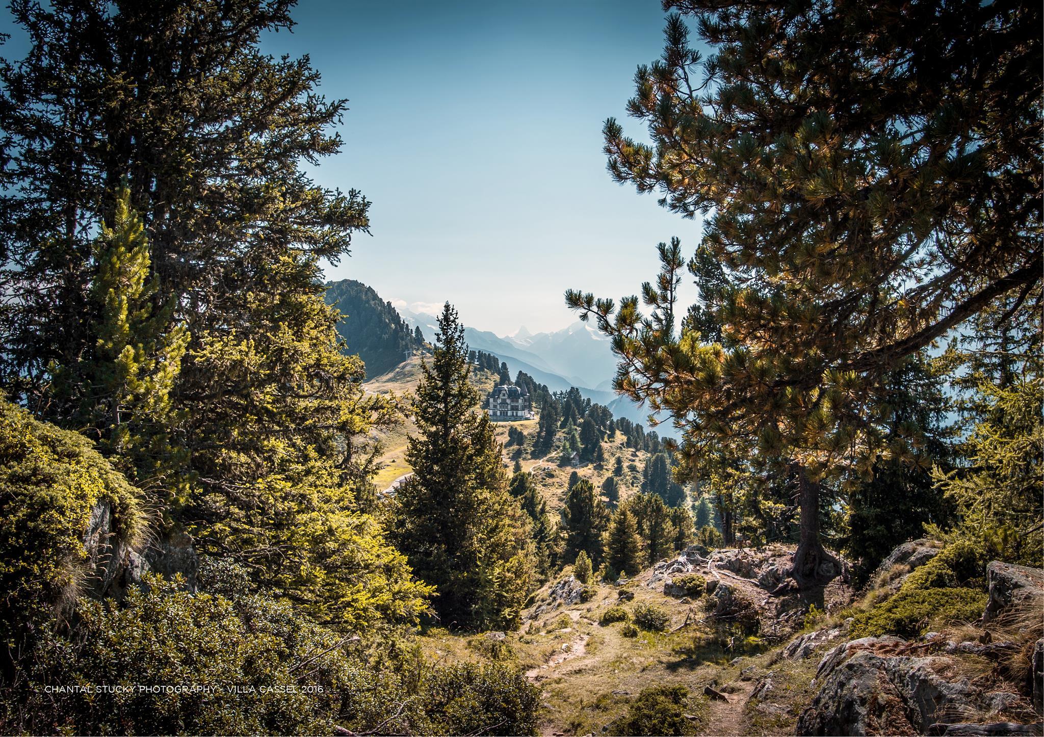 Villa Cassel _ 01 Villa Cassel _ 01