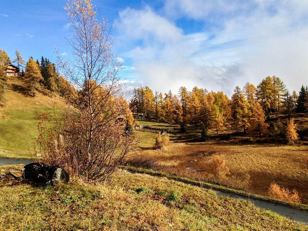 Wenn die Erde bunt wird... Wenn die Erde bunt wird...