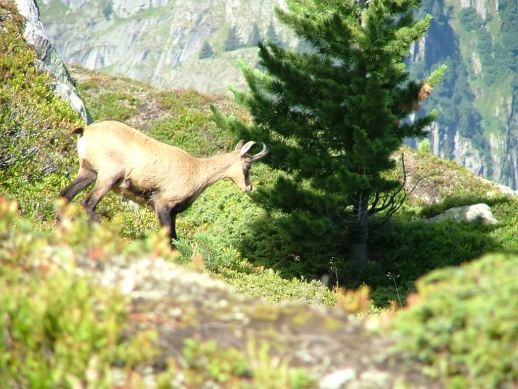 Bilder1 143 Bilder1 143