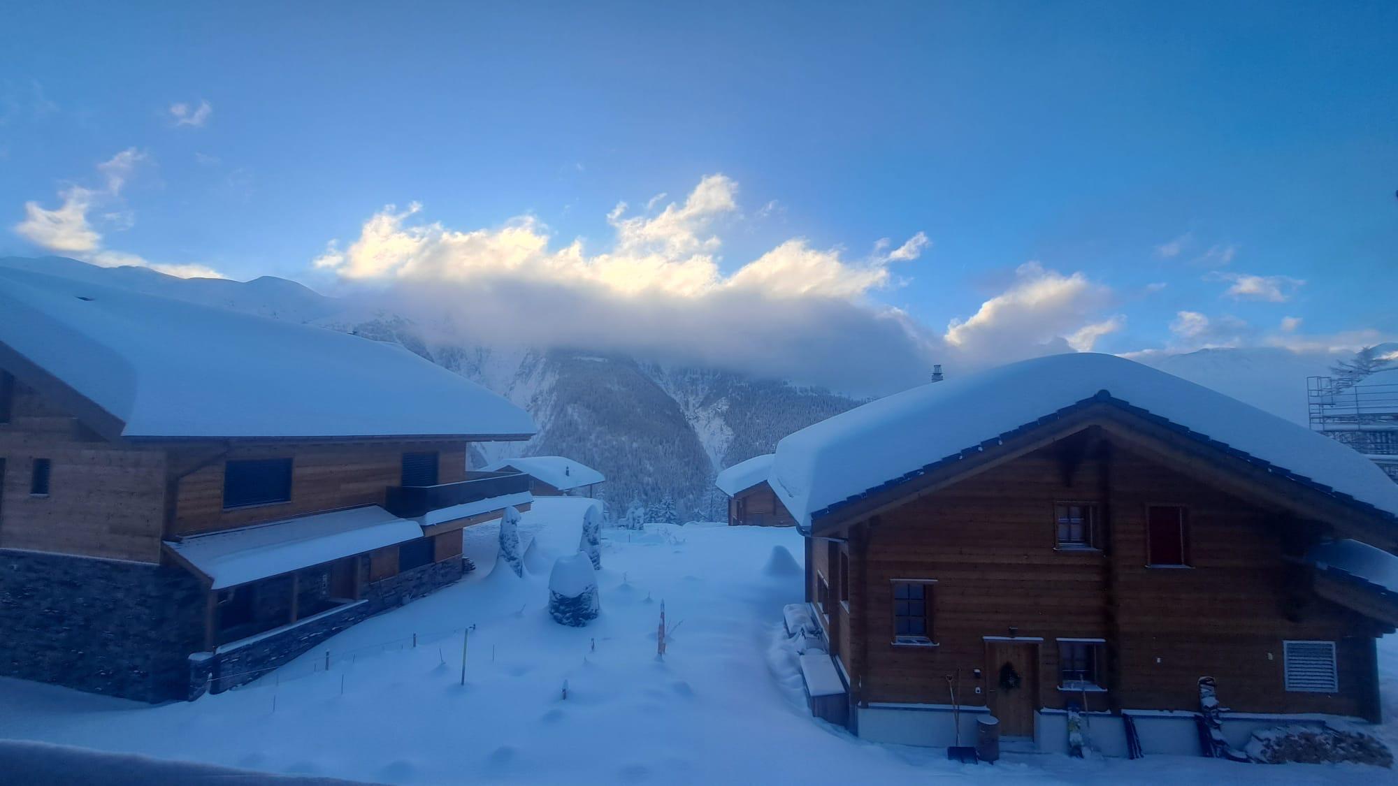 fed649f0-0689-402b-9a11-bfa96cde3bd4 fed649f0-0689-402b-9a11-bfa96cde3bd4