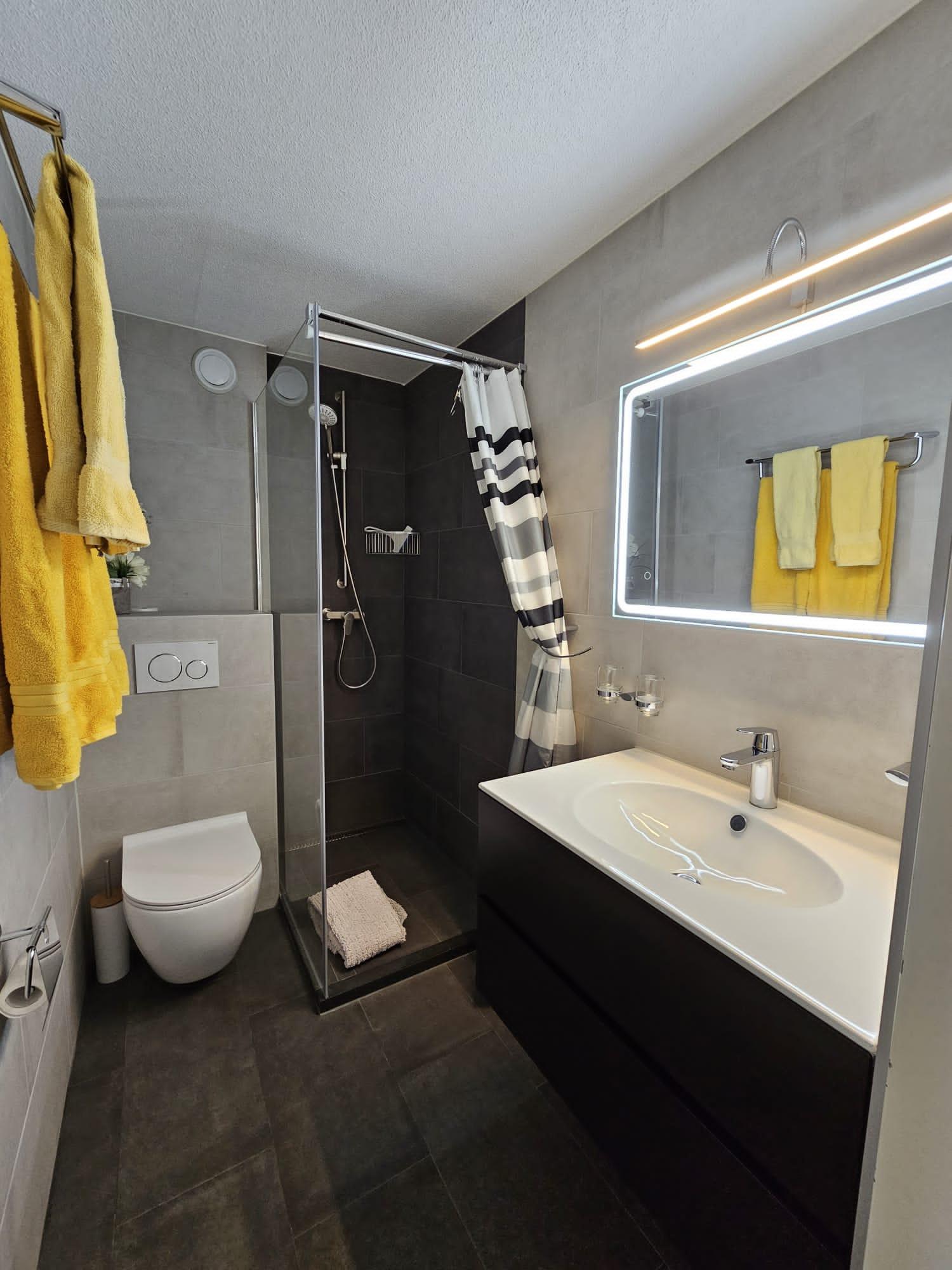 Domino 24_dusche-WC_a Domino 24_dusche-WC_a