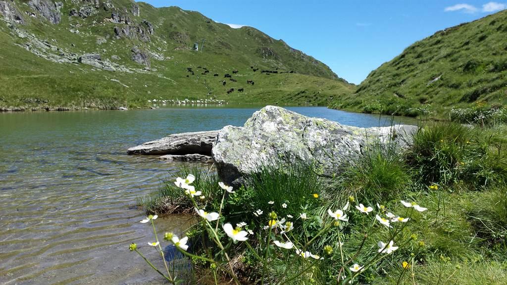 Lüsgersee Lüsgersee