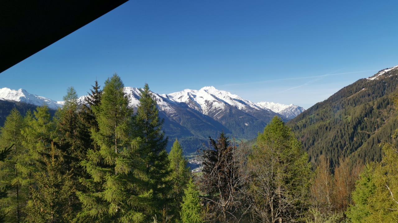 IMG_20210528_080240_233 IMG_20210528_080240_233