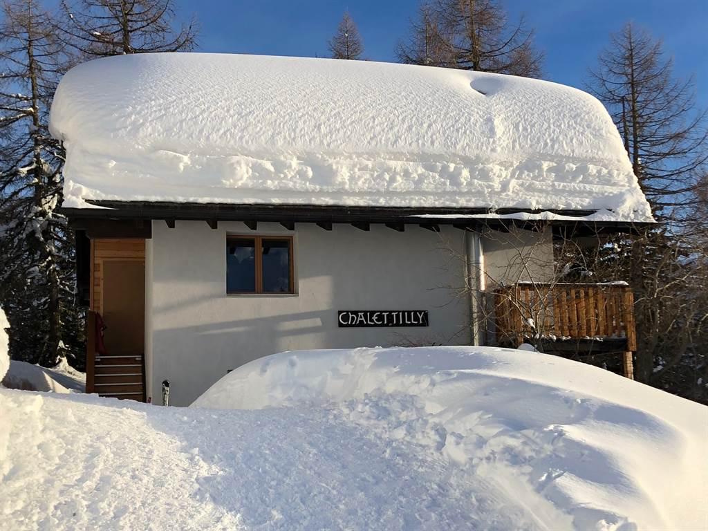 Tilly von W, 2018 Tilly von W, 2018