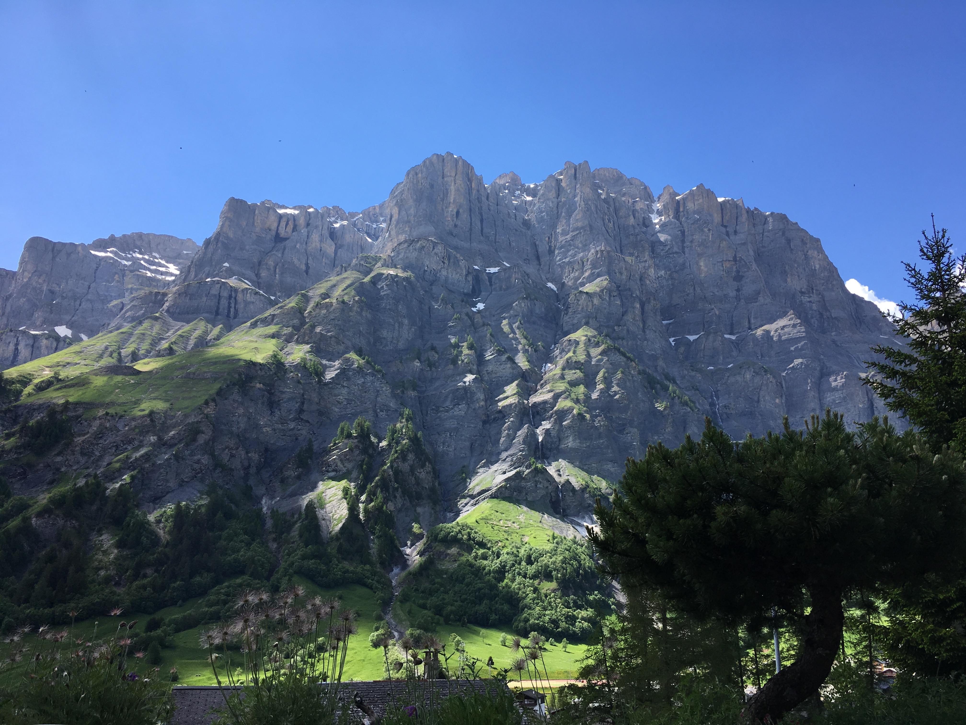 Lärchenwald 312_aussicht_sommer_a Lärchenwald 312_aussicht_sommer_a