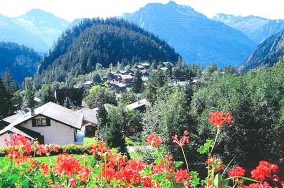 Ausblick Sommer Ausblick Sommer