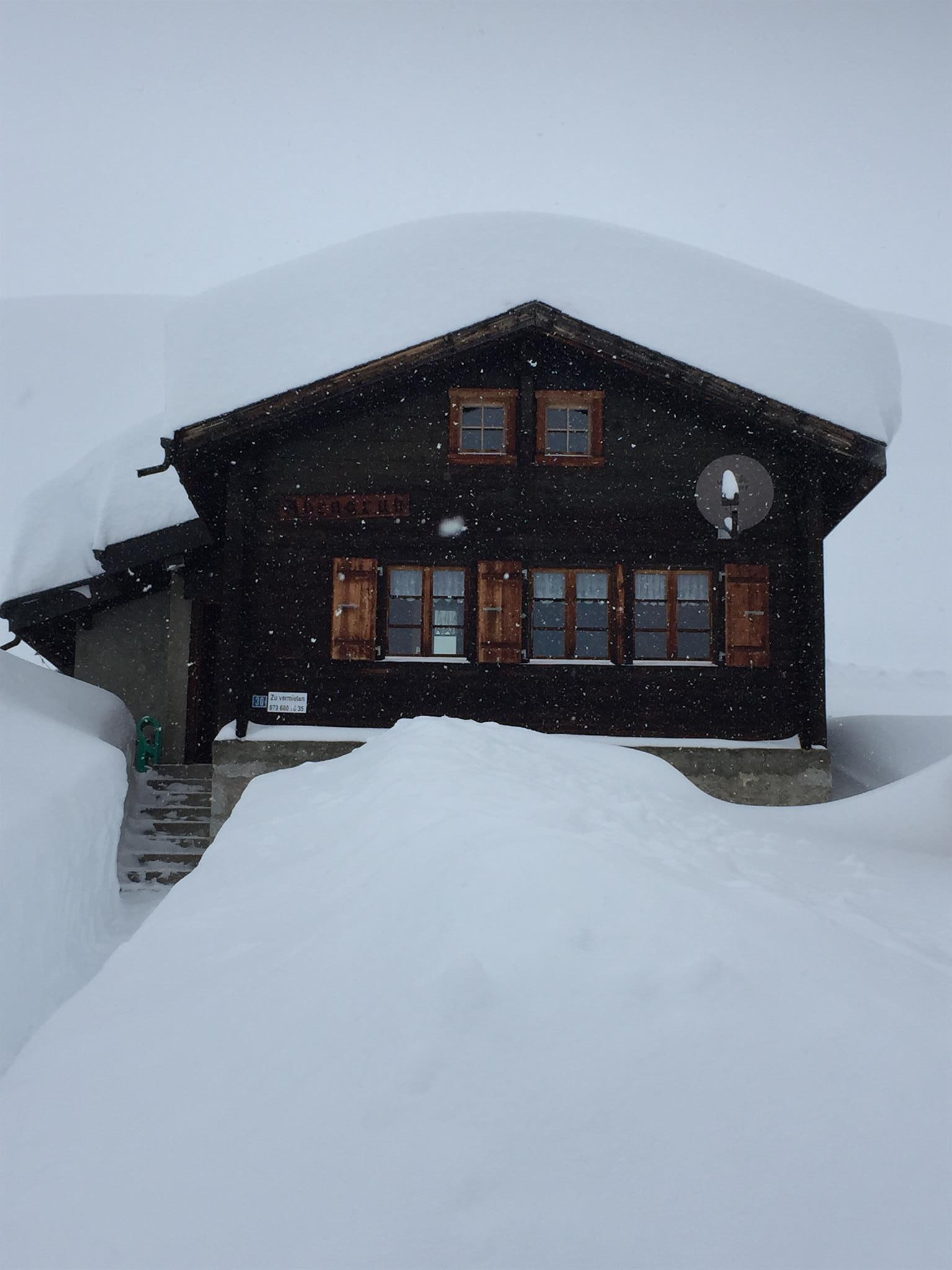 Winter_2021 Winter_2021