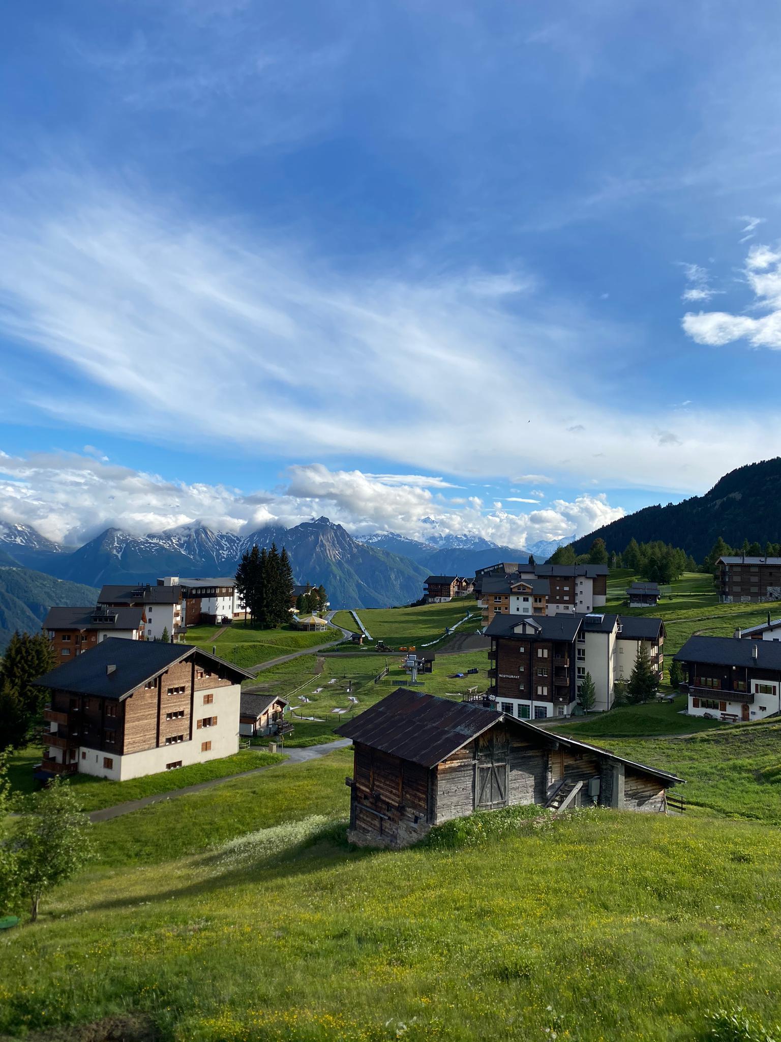 08e32ba6-6ead-4204-83f1-54c0915733f6 08e32ba6-6ead-4204-83f1-54c0915733f6