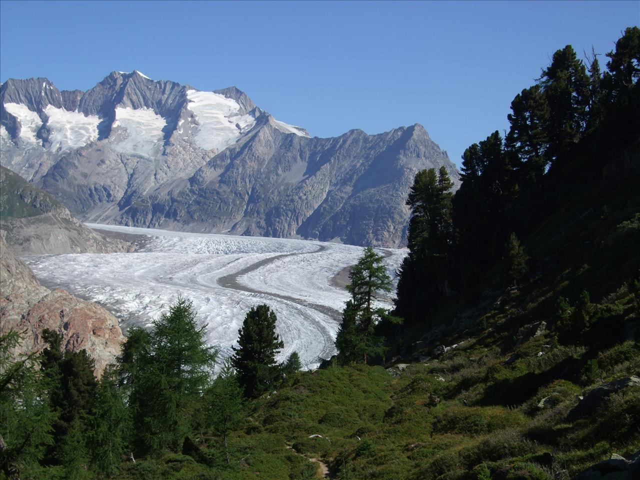 Wandern im Aletschwald Wandern im Aletschwald