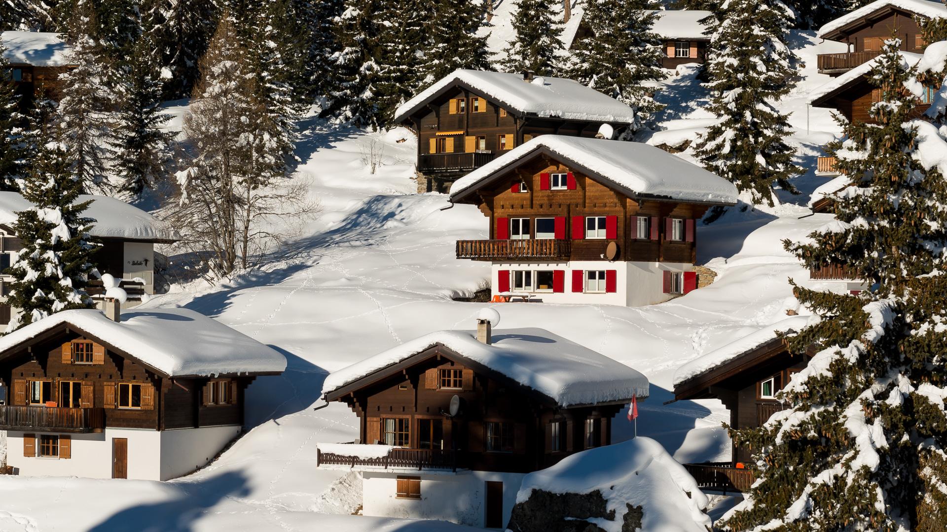 FW5_2482-2 FW5_2482-2