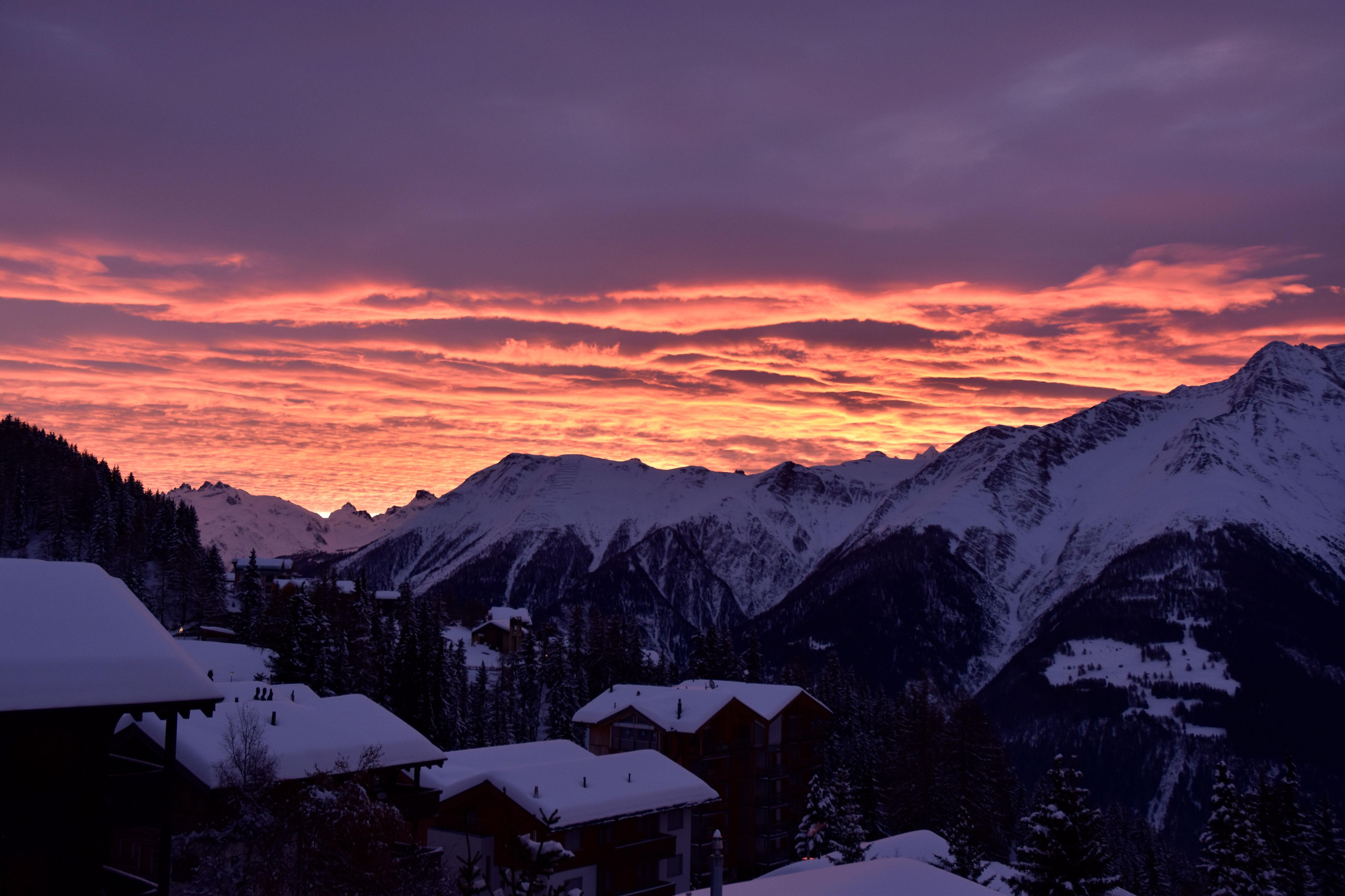 _DSC1332-(1) _DSC1332-(1)