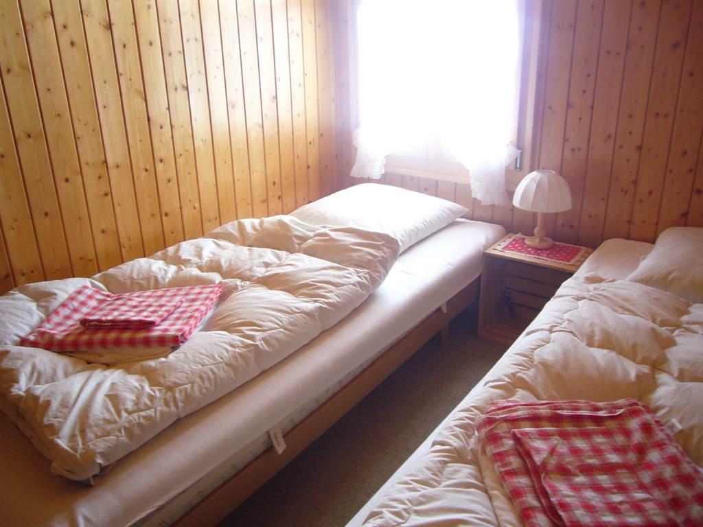 Igelizimmer Igelizimmer